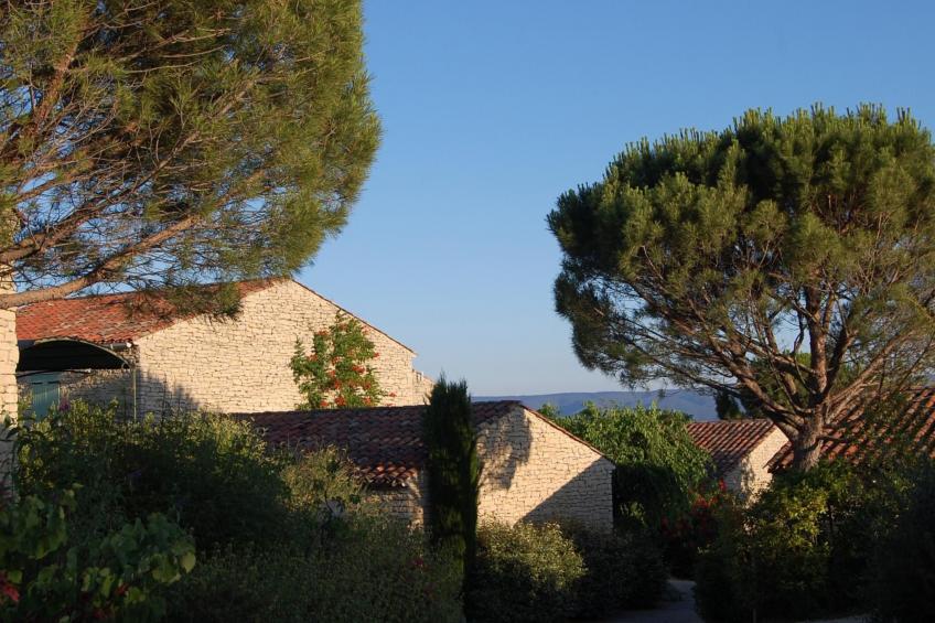 Cypres du Paradis - foto 13