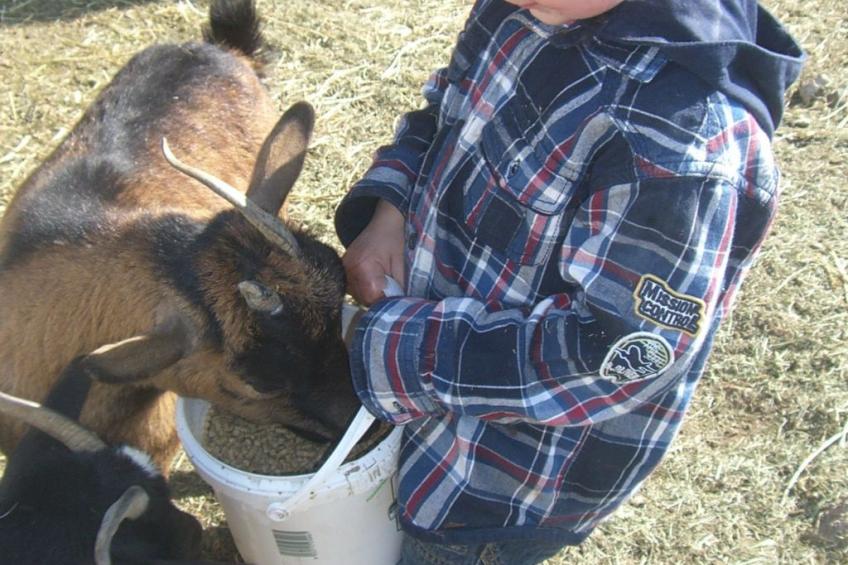 Kompatscherhof - foto 9