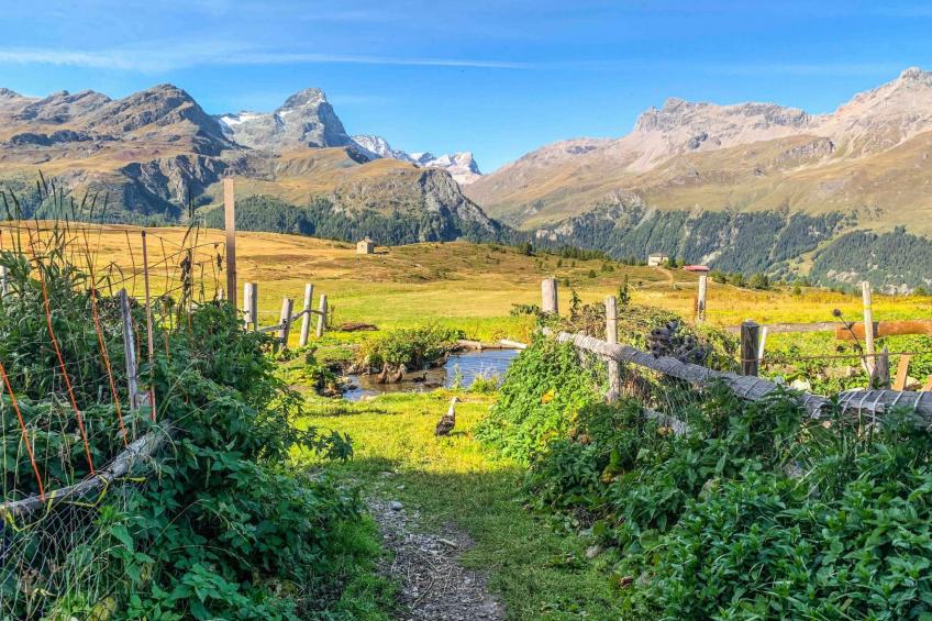 mit Blick in die Berge - foto 27