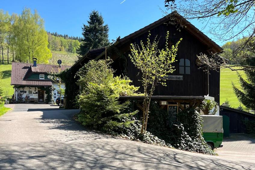 Am Damwildgehege II - foto 27