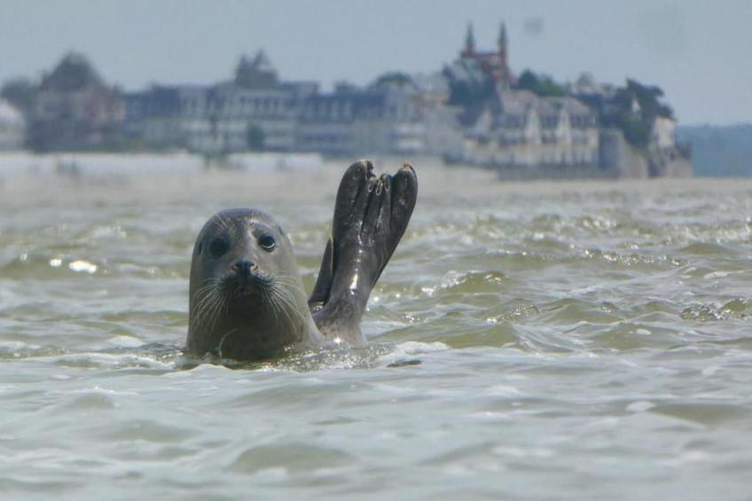 Résidence les Villas de la Baie - foto 18