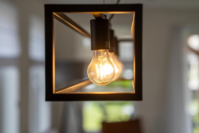 Kuifduiker 115 - foto 40