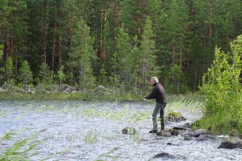 Solbacken Cottage - foto 32