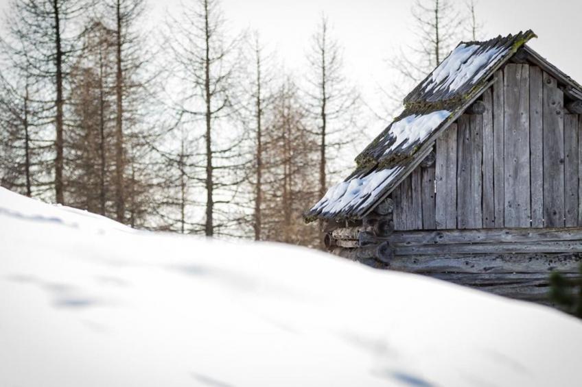 Almhütte Enzian - foto 37