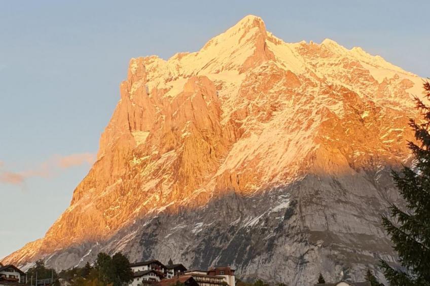 Chalet Gletscherfloh - foto 29