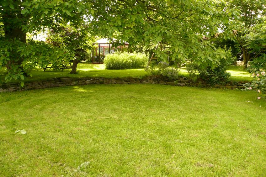 La Belle Jardinière - foto 30