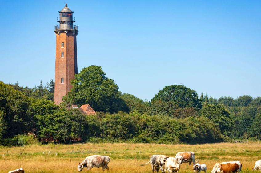 hey Beachvilla - foto 32