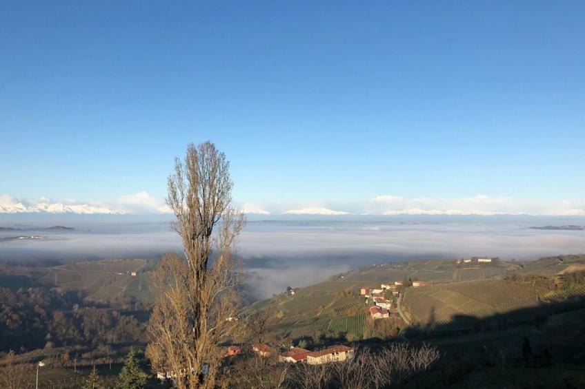445840 - foto 32