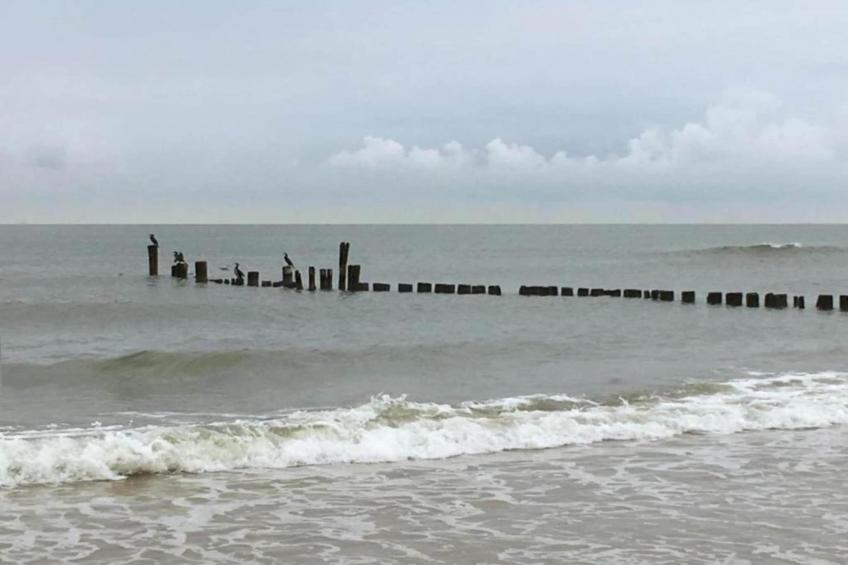 Hof van Craeck II - foto 31