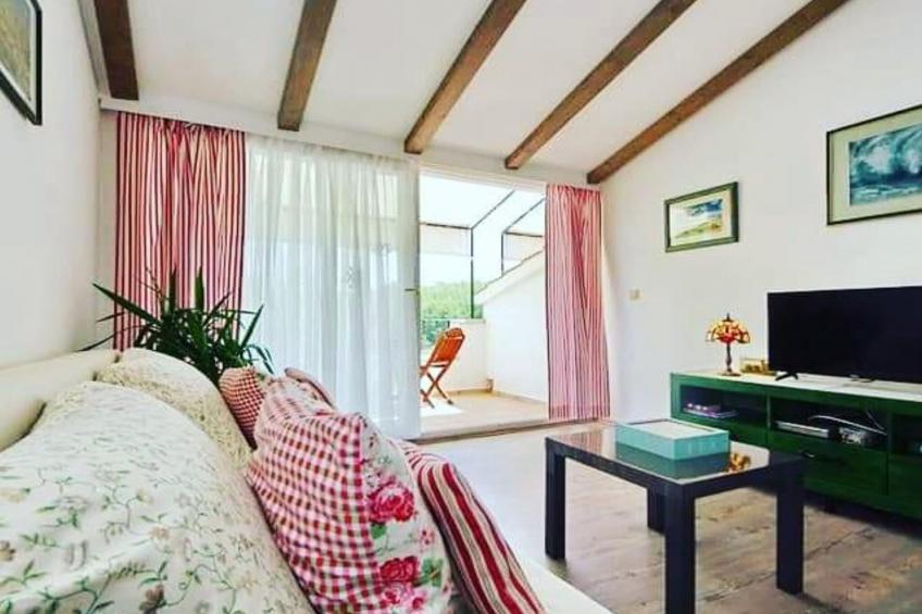 One-Bedroom Apartment (Smokva) - foto 3