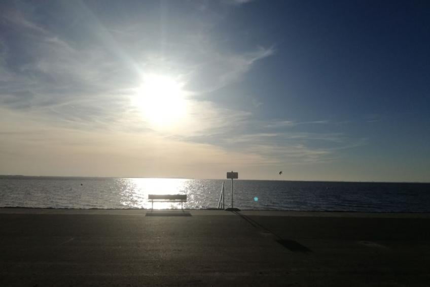234441 - foto 26