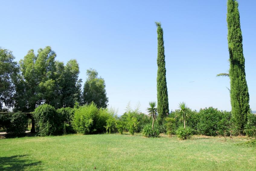 Agriturismo Podere Noé (ROC420) - foto 28