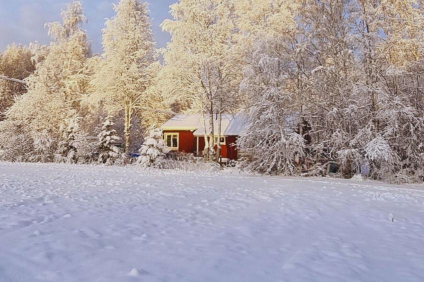 Gemütliches Ferienhaus Angermanland - höga Kusten - foto 37