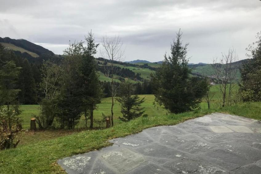 Soldanella - foto 25