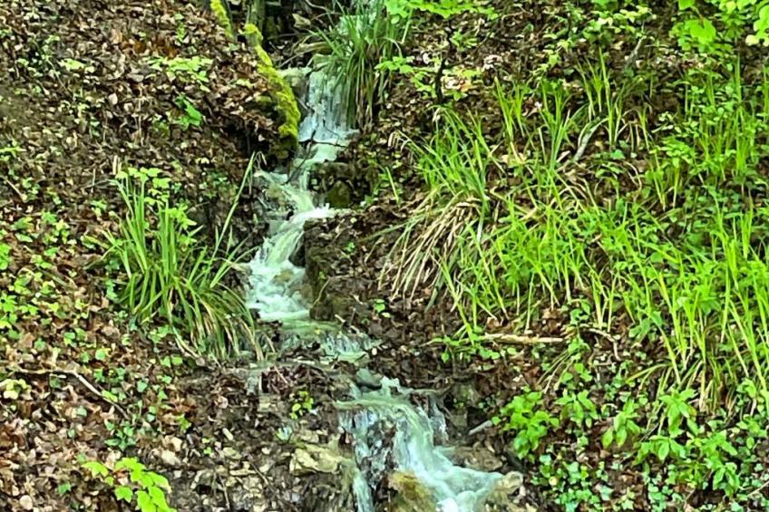 Haus Sonnenschein - foto 37