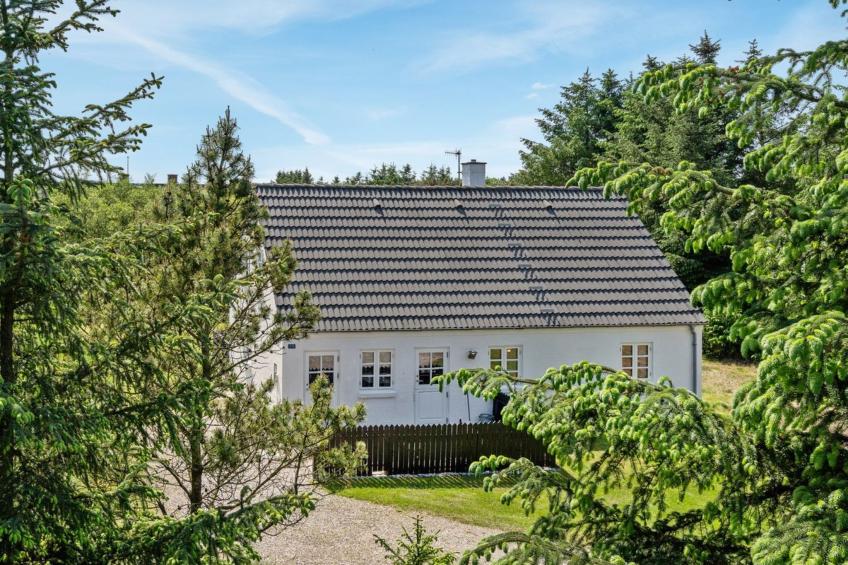 "Minja" - 900m from the sea in NW Jutland - foto 3