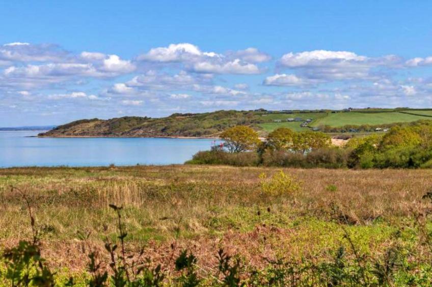 Beachlands - foto 23