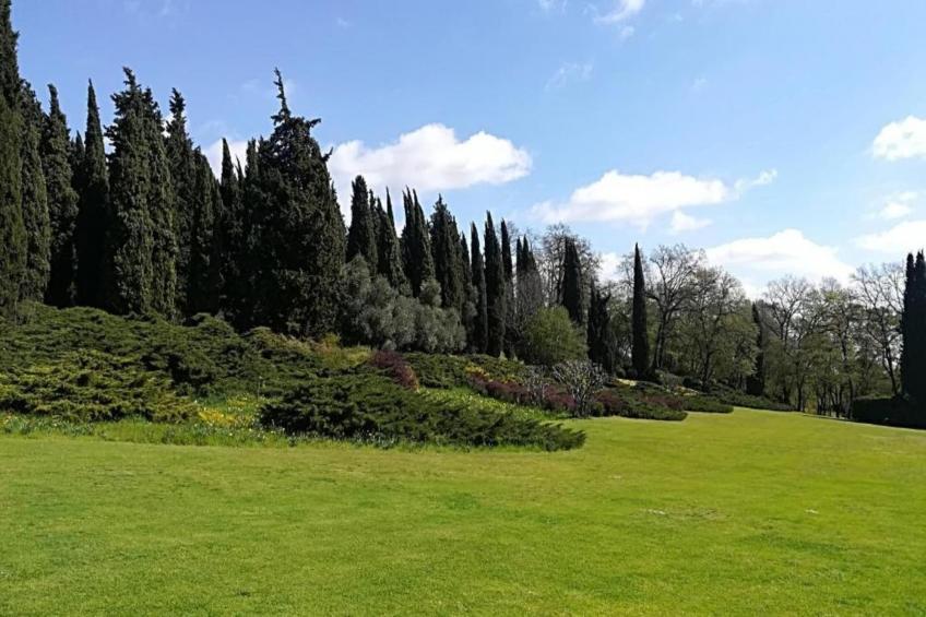 Maison Jaune - foto 34