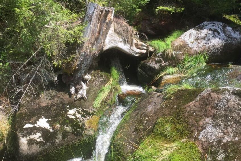 in Frauenberg mit Garten - foto 15