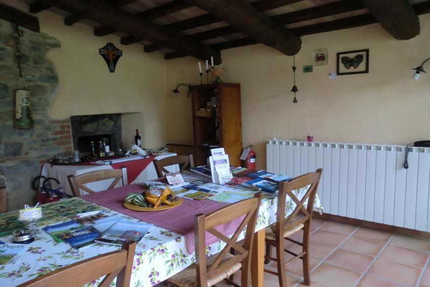 Lavanda - foto 18