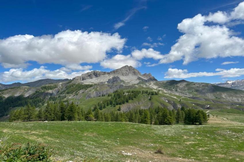 Les Marmottes N°14 - ST4 - foto 23