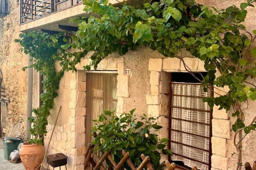 'The Garden - foto 37