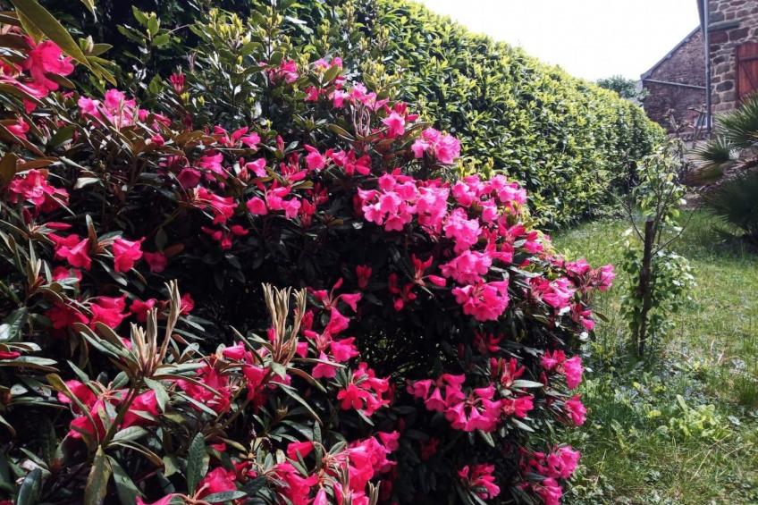 Villa La Côte du Chat -Familienhaus Bretagne - foto 27