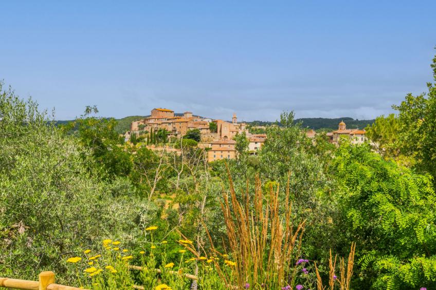 Villa Montisi - foto 80