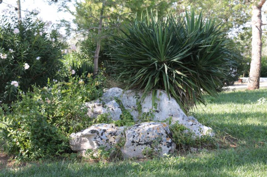 Landgut "Villa Vetti - foto 20