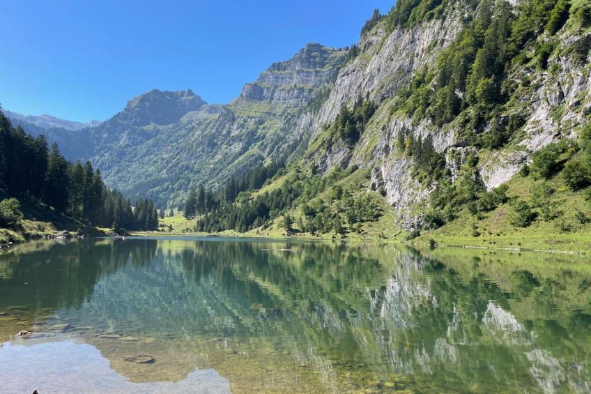 Alpenzauber Chalet - foto 31