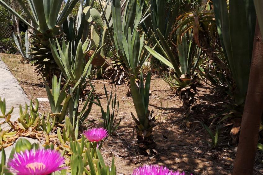 La Perla 8 - foto 27