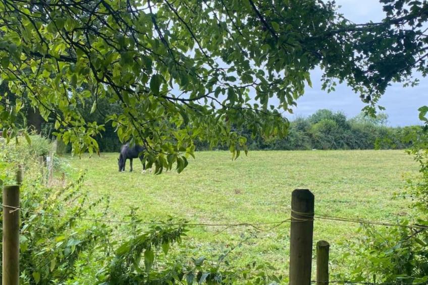 The Highland Camping Pod - foto 20