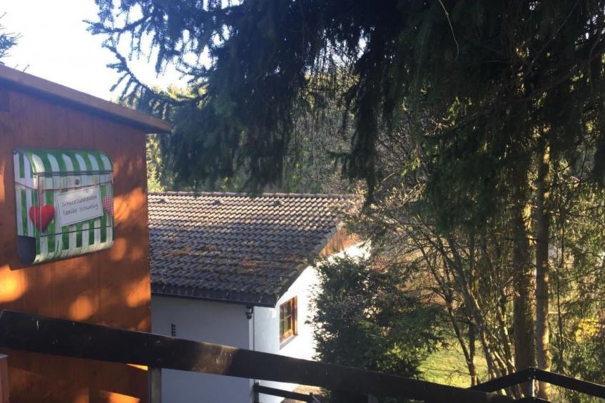 Schwarzwaldhäuschen - foto 19