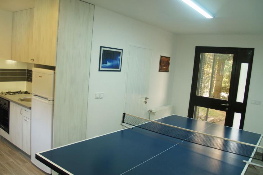 mit Terrasse, Grill und Garten - foto 38