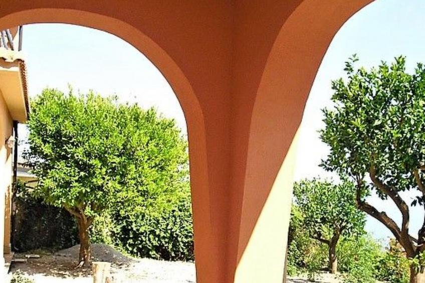 Flache Zeder - foto 4