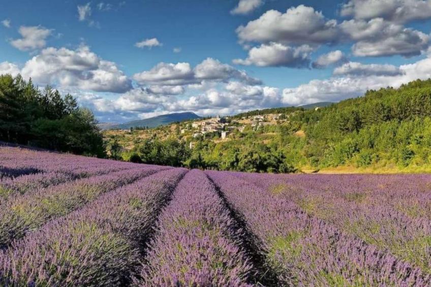 Villa Fleurie - foto 37