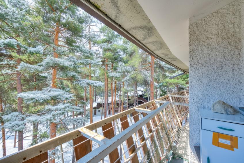 La Tana dello Scoiattolo (Skiing nearby) - foto 18