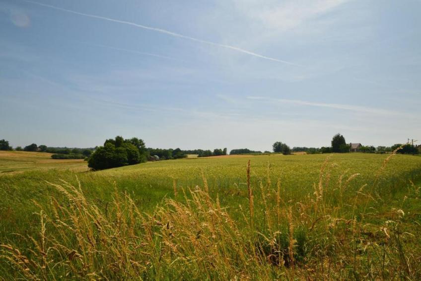 Le Haut Chambon - foto 37