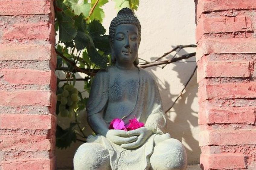 Casa Magdalena, Fincahaus, Hund erlaubt, Pool - foto 13