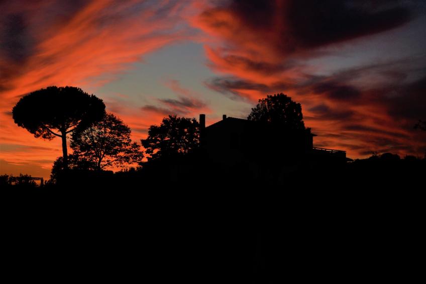 Casa Vacanze Paradise - Near Maremma - foto 30