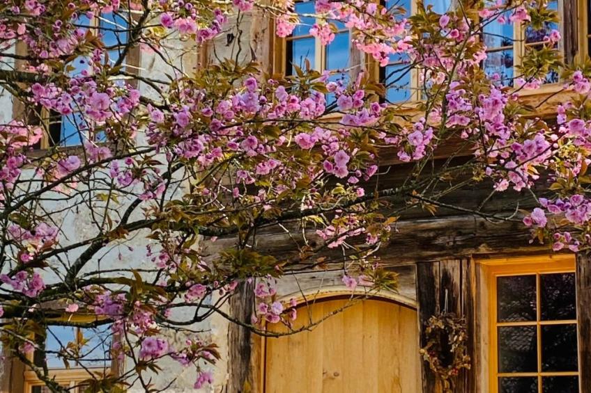 Ferien im Baudenkmal Mühle - foto 21