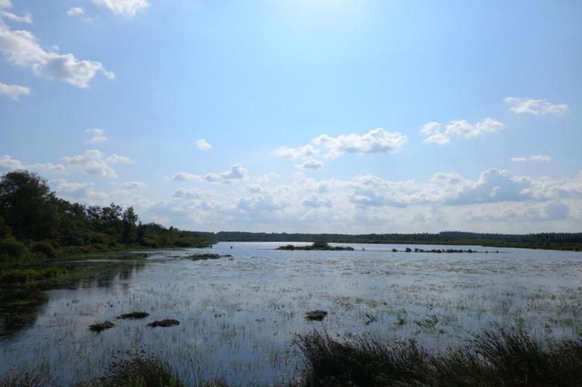 Maison de vacances - CLOHARS-CARNOET - foto 23