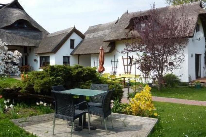 Morgensünn- Nette Wohnung in Althagen mit Terras - foto 10