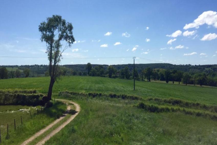 ST CAPRAIS FR-46250-13 - foto 38