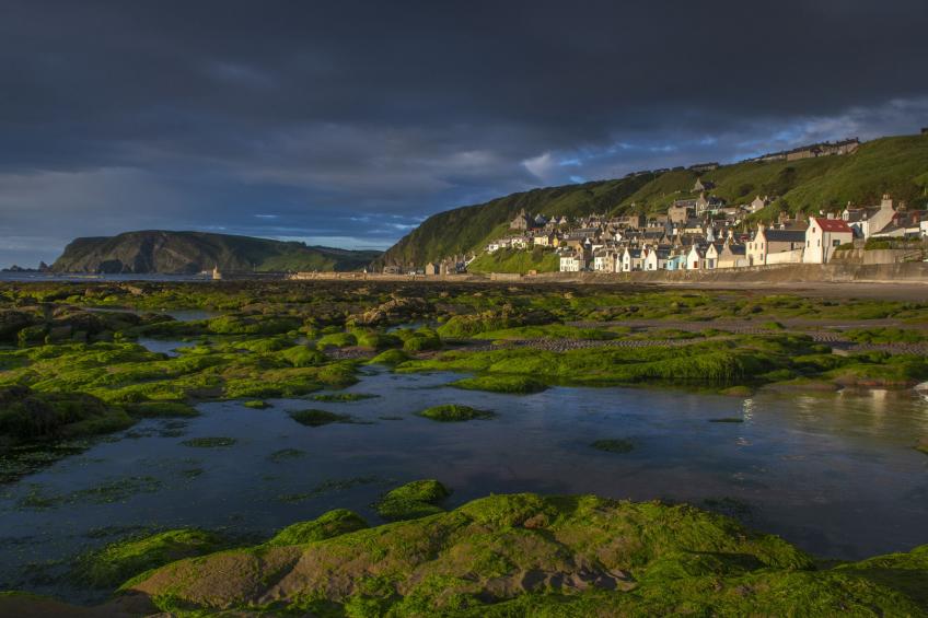 Ellie-Jo Cottage - foto 12