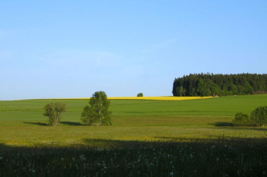 127963 - foto 21