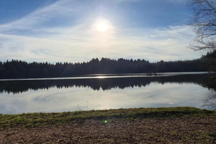 Maison de vacances - ESMOULIÈRES - foto 28