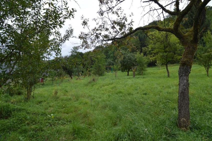 Eschbachtal - foto 39