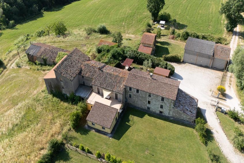 Dai Du Bourdei - foto 2