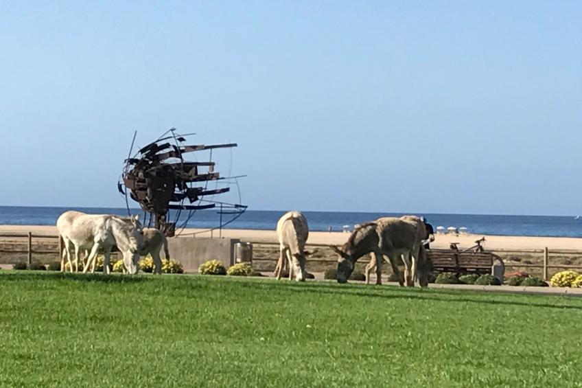 "Jandia" mit Wasserblick - foto 30